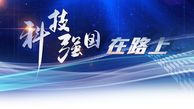 知识图谱问答系统：源码下载背后的技术解析