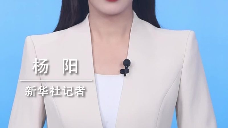 数据仓库报表开发：技术选型的关键考量**