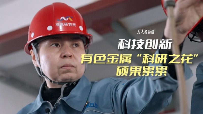 企业数字化平台搭建：性价比高的关键考量**